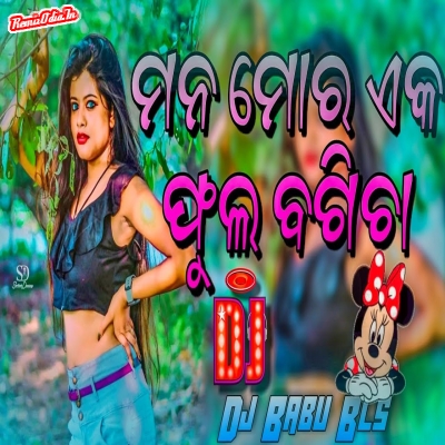 Mana Mora Eka Phula Bagicha Odia Dj